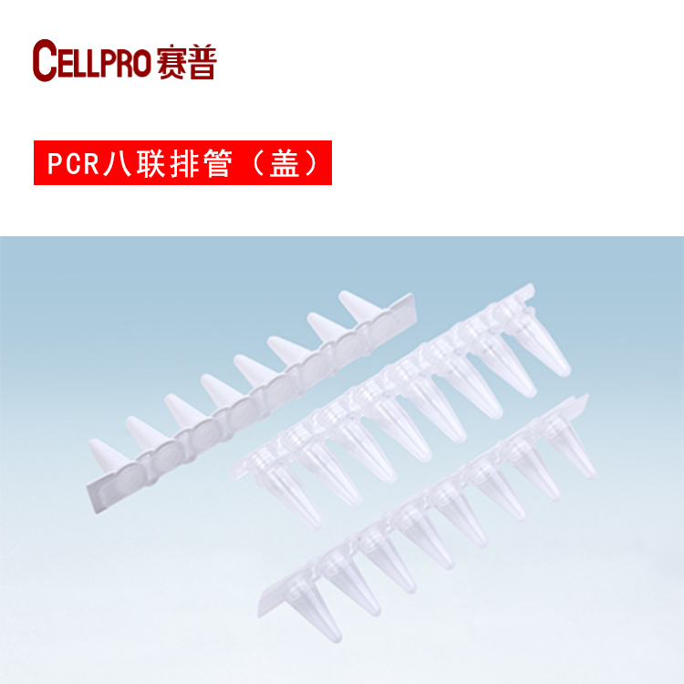赛普生物PCR八连管